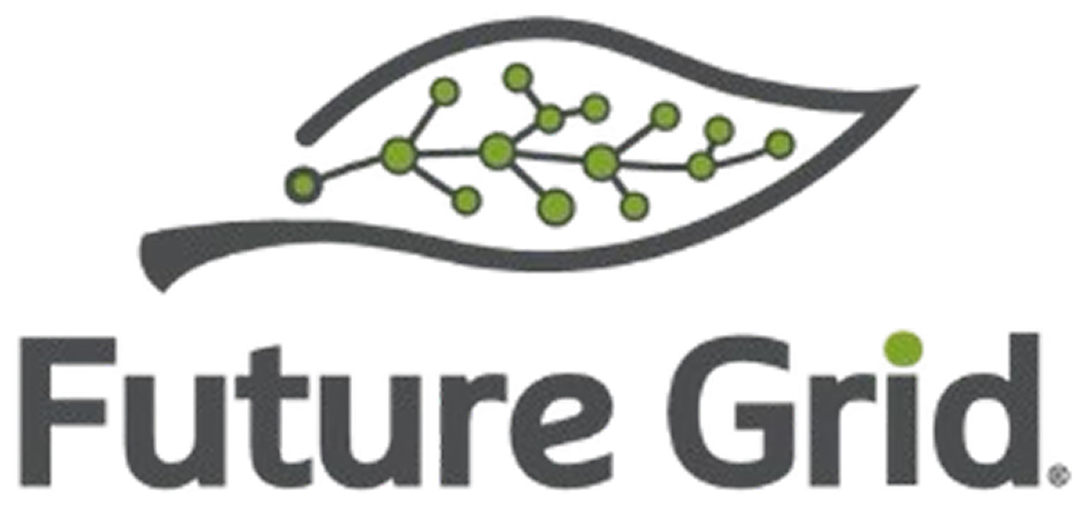 Future Grid